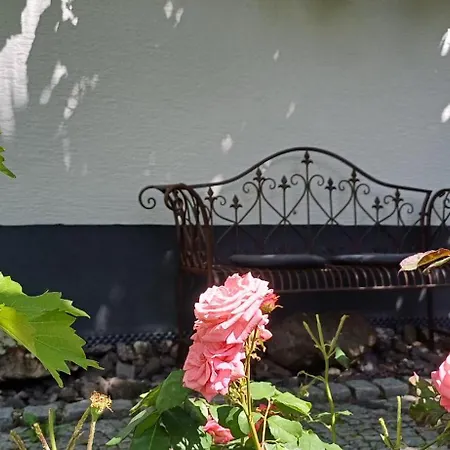 Haus Bienen *