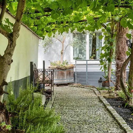 Haus Bienen * Ihringen