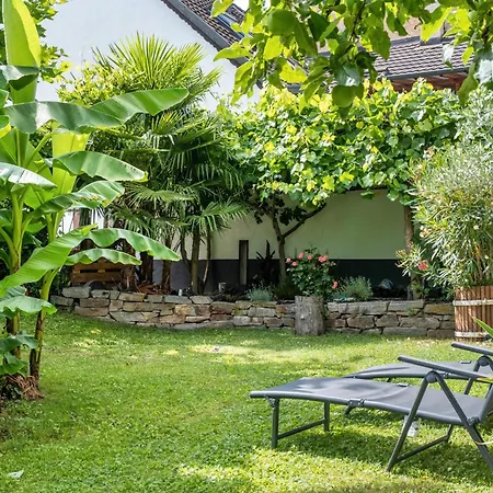 לינה וארוחת בוקר Haus Bienen