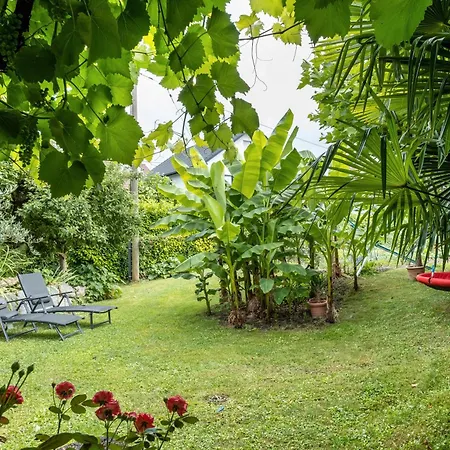 Couette-café Haus Bienen Ihringen