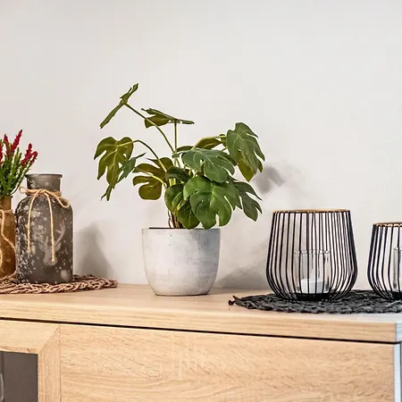 לינה וארוחת בוקר Haus Bienen