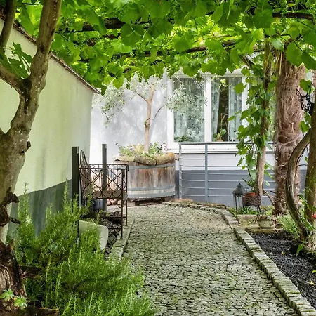 Bed & Breakfast Haus Bienen 3*