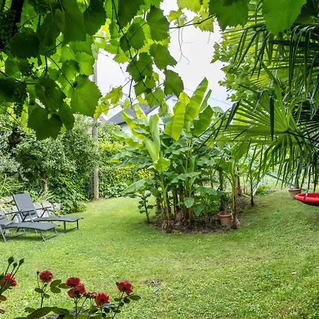 Haus Bienen Ihringen