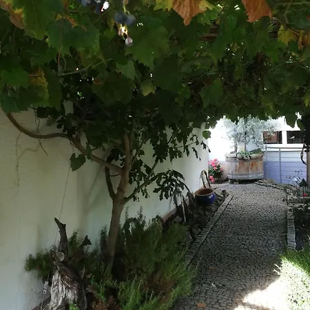 Bed & Breakfast Haus Bienen