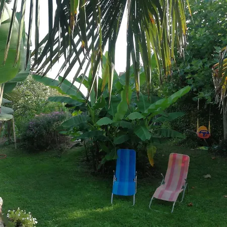 Haus Bienen *